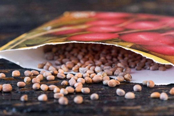 Radish Seeds